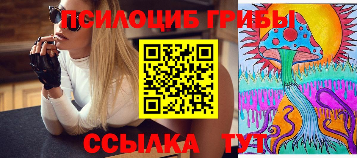 Ковров  Галлюциногенные грибы MAGIC MUSHROOMS  наркота  Вход с VPN 